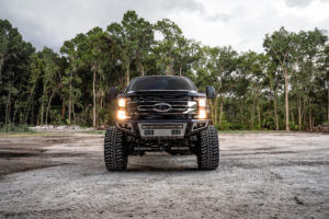 RenaissanceF250-10