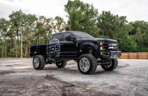 RenaissanceF250-11