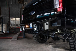 RenaissanceF250-14